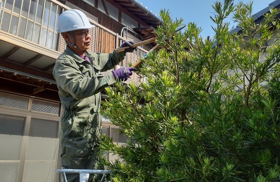 空き家の庭木の伐採を観音寺市でも承っております | 空き家管理を三豊市で任せるならおうちの小修繕 池田